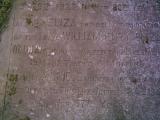 image of grave number 481483